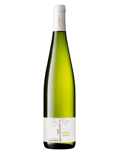 Domaine Specht Sylvaner